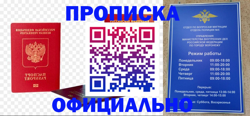 прописка иностранных граждан в Сертолово
